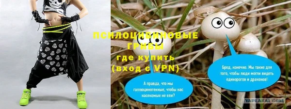 дмт Алексин